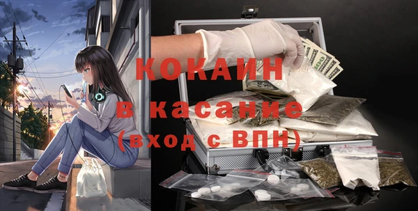дмт Мегион