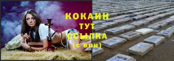 дмт Мегион